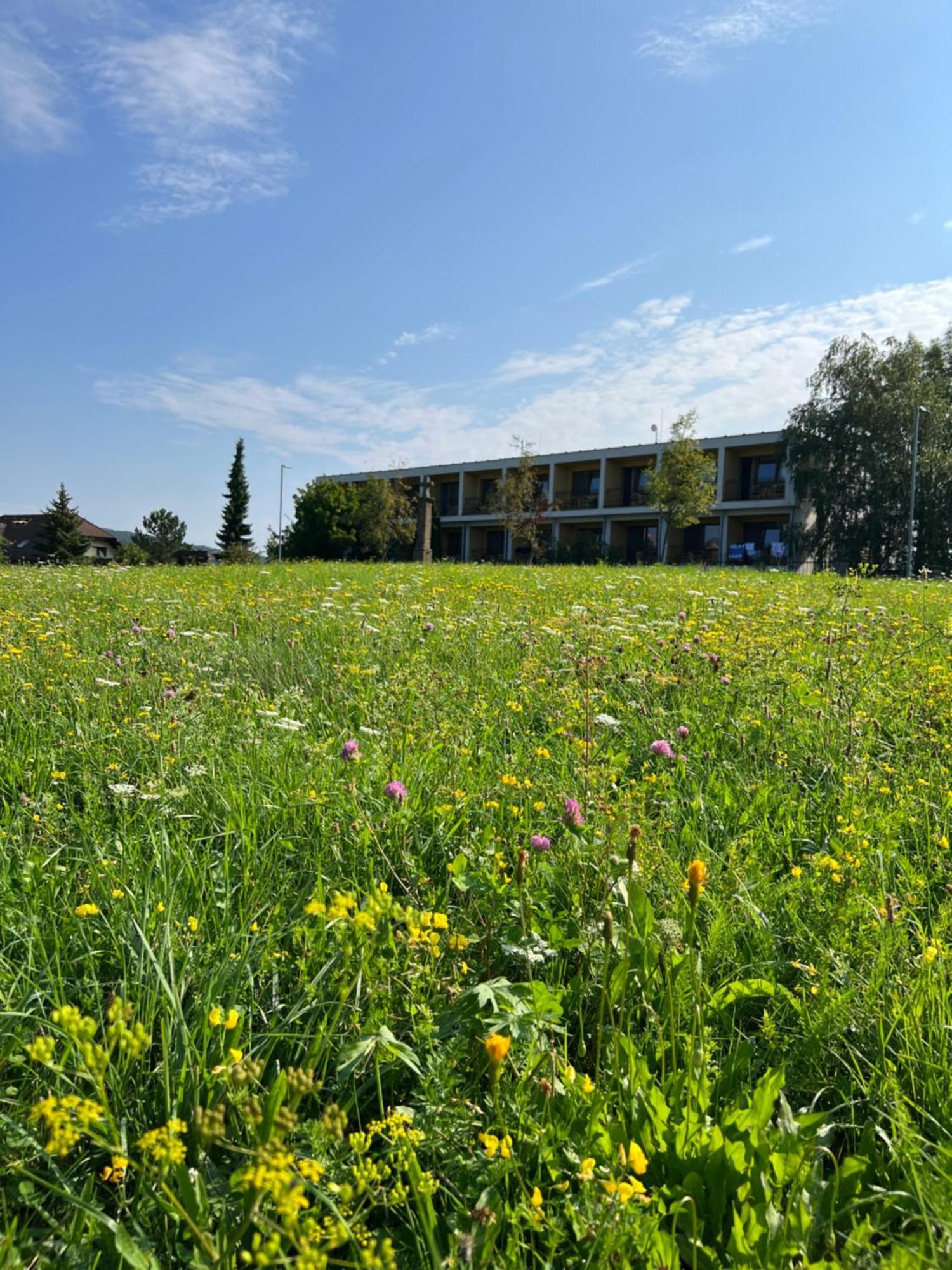 Lazensky A Wellness Hotel Nivamare Luhačovice エクステリア 写真